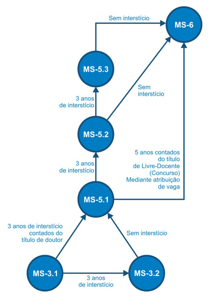Fluxograma Carreira MS