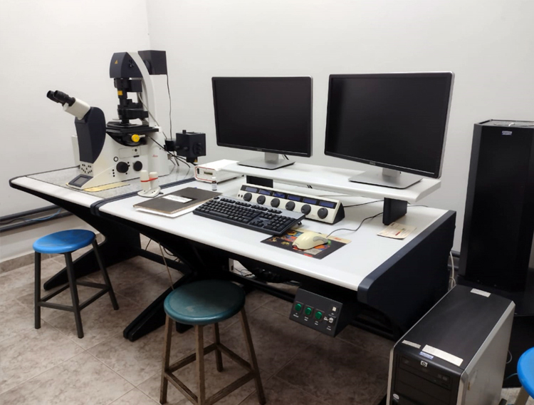 CMI Confocal