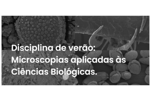 disciplina de verão 2023