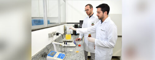 Pesquisa material biodegradavel - prótese