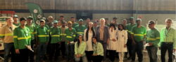 Grupo Implantar