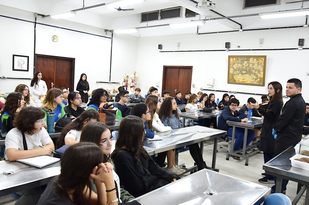 Colegio 15