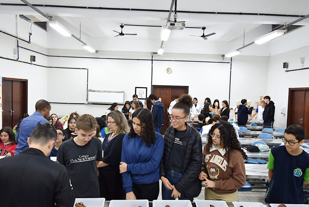 Colegio 15 alunos