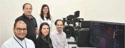 Treinamento microscopio