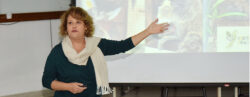 Palestra Ortodontia