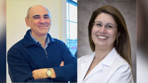Profs. americanos