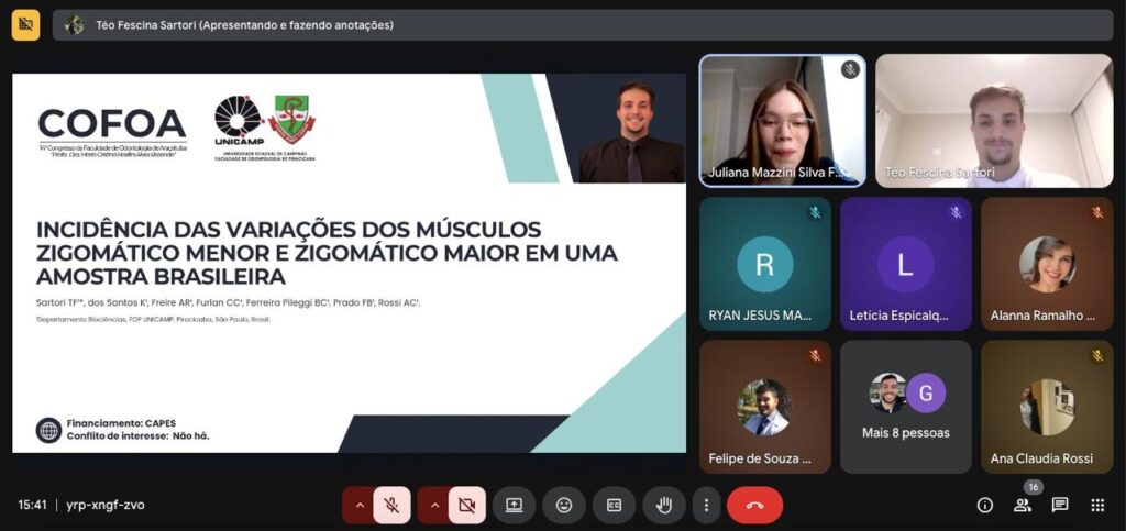 Anatomia